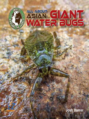 cover image of All About Asian Giant Water Bugs